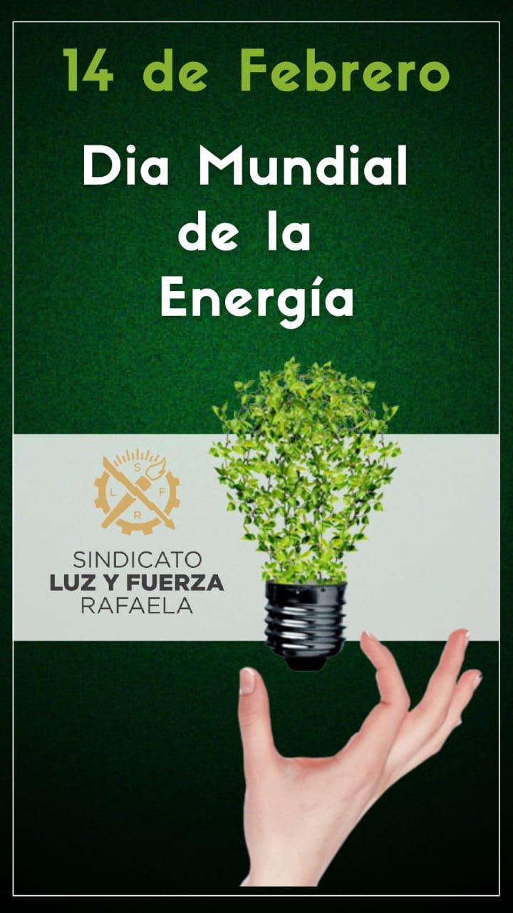 14 De Febrero Dia Internacional De La Energia